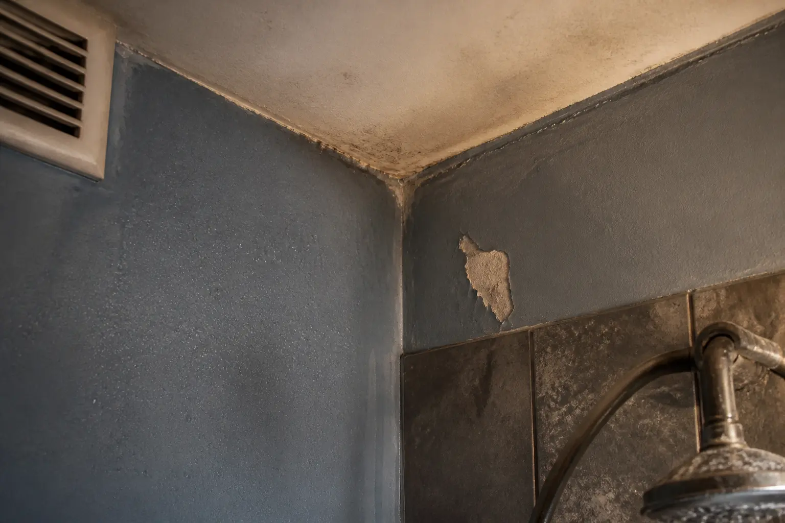 Humidité salle de bain : coin de mur avec plafond taché, joints noircis, peinture qui s’écaille et condensation visible